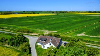 Rohdiamant am Nordseedeich in Nordfriesland